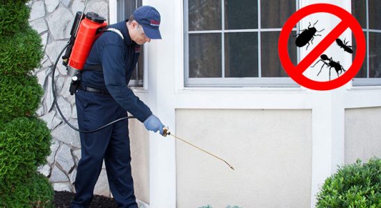 Yenimahalle Kene İlaçlama böcek ilaçlama ve haşere kontrolü — ilaclama-tr.com